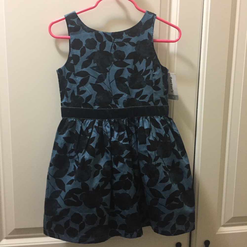 Carters Girls Blue Floral Dress Size 3T
